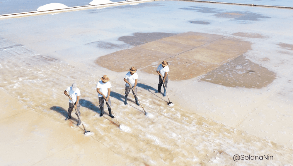 Na slici su prikazani solari Solane Nin.