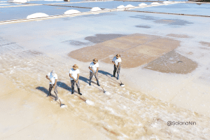 Na slici su prikazani solari Solane Nin.