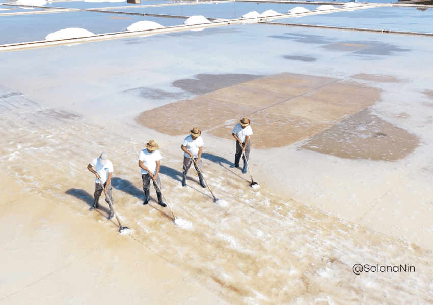 Na slici su prikazani solari Solane Nin.