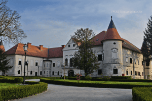 Slika prikazuje Dvorac Lužnica - jedan od dvoraca koje vrijedi posjetiti u Hrvatskoj.